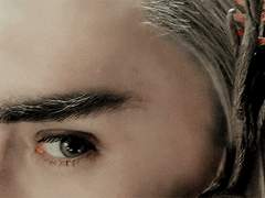 오 나의 여신님 ; 꽃수인 고르기