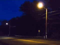 [금학현수] 노란 불빛