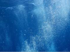 바다의 천문학자