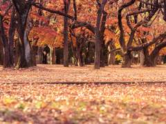 남겨진 사람들의 이야기