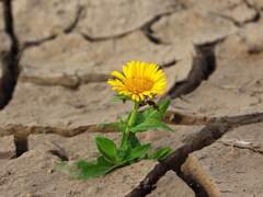 [도진/성식] Mr. Fancy Strike