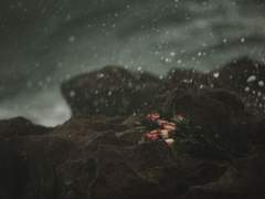 [양태수] Spring Tempest