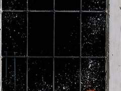 비가 내리던 어느 날