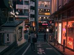 [사쿠사토] 달의 결함