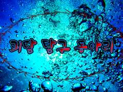 6. 진실 혹은 거짓(1)