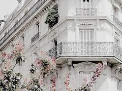 [빅터앙리] Paris Holiday