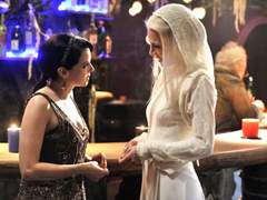 [화이트로즈] more than a client