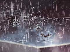 아스할리_Pain killer