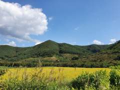 꽃의 죽음 外. IF 사계절 - 가을(12)