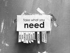 자비는 죄악이다