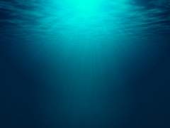 행복에 피어난 불꽃의 잔해 | 윤하영