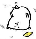 [현대팀] 현대팀 썰 모음 2