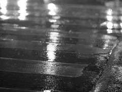 Cesare : 바랜 빛의 초상