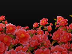 붉은 보석의 뜻은 사랑이라