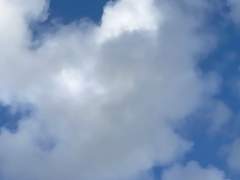 위태로운 당신과 나