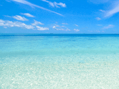 나와 너의 간격