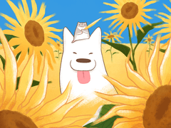 마루 위 구름 : 노란 꽃길의 여정