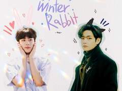 Winter Rabbit _ special season (뷔진)