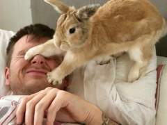 레빗사용설명서