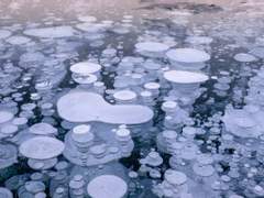 [이부시마] Lost in Wonderland 02