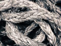 괴담록 01. 금줄