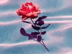 류 준의 직원 프로필