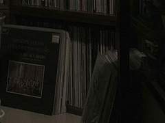 존경하는 이여.