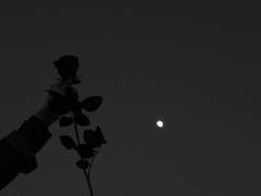 짧썰 백업 (1) (수정)