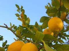 우리 학교엔 이상한 선배가 있다 1