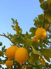 우리 학교엔 이상한 선배가 있다