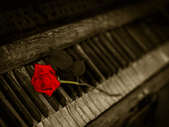 작품 속 장미 정원 IX