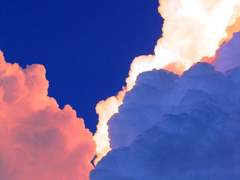 내가 널 못잡아도, 우리가 널 잡을거야.