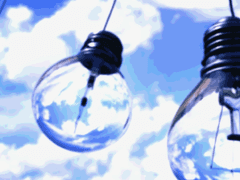 빅키가 앨리를 신경쓸 뿐인 글