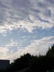 [NHA/토도바쿠]백일몽