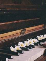 피아노 밑 우리집