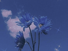 클레어 니콜스.