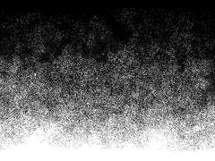 36년 11월의 어느 날