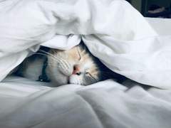 [일요딥슬립] 무시무시한 편지