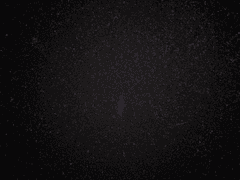 [원홋] I found Love