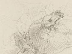 We're Off To See The Wizard