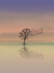 [나츠메 우인장] 달을 가리운 해