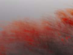 아타락시아 / 12 / 남