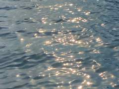 첫 키스의 법칙