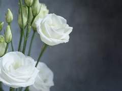 홀로 있는 새벽의 끝에서