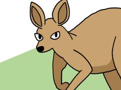 56. 캥거루와 코알라의 비밀