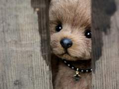 개같은 대학교 엔시티랑 다니기 1