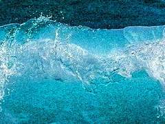 시즈레인 S. 오안네스 | 19세 | 남성 | 인어