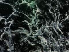 모든 것은 죽어 사라지고