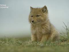 함부로 앙큼하게 3