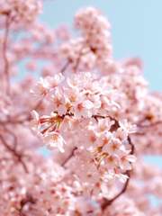 [하이큐드림] 망상외전